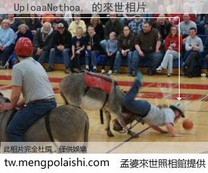 UploaaNethoa, 來世的未來相片