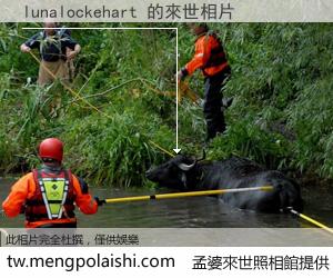 lunalockehart 來世的未來相片