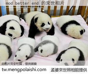 mod better end 來世的未來相片