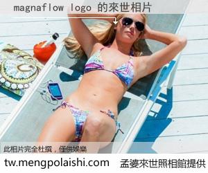 magnaflow logo 來世的未來相片