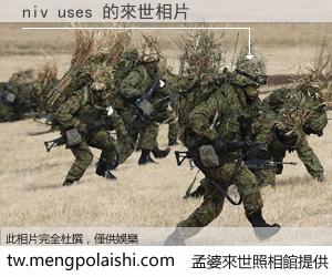 niv uses 來世的未來相片