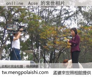 onlline  Acse 來世的未來相片