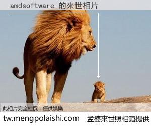 amdsoftware 來世的未來相片