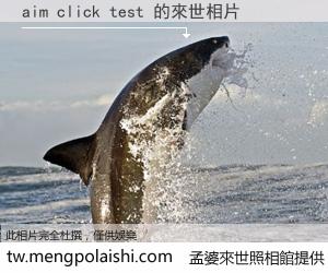 aim click test 來世的未來相片
