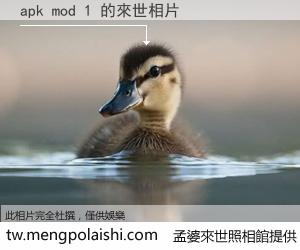 apk mod 1 來世的未來相片