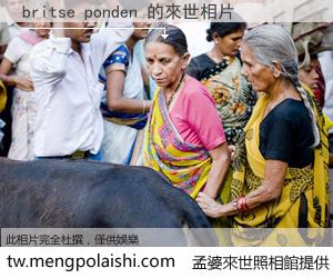 britse ponden 來世的未來相片