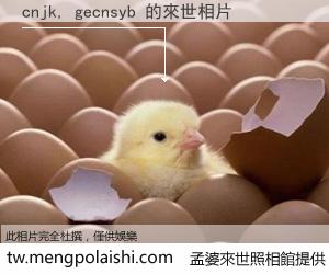 cnjk, gecnsyb 來世的未來相片