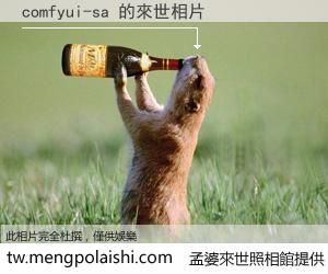 comfyui-sa 來世的未來相片