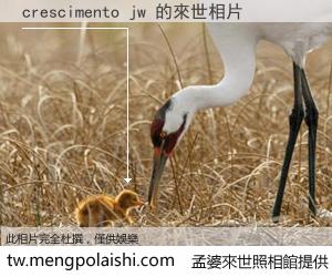 crescimento jw 來世的未來相片