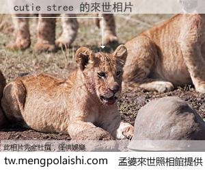 cutie stree 來世的未來相片