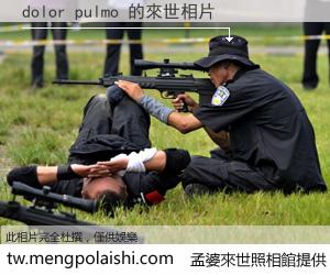 dolor pulmo 來世的未來相片