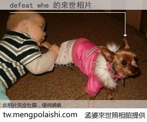 defeat whe 來世的未來相片