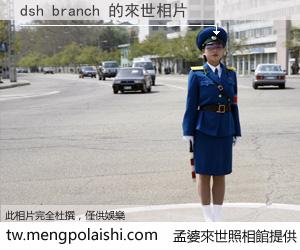dsh branch 來世的未來相片