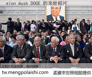 elon musk DOGE 來世的未來相片