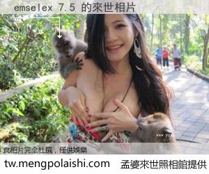 emselex 7.5 來世的未來相片