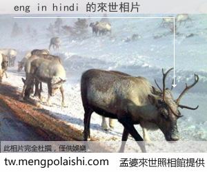 eng in hindi 來世的未來相片