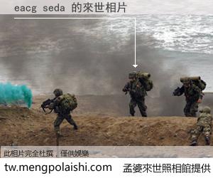 eacg seda 來世的未來相片