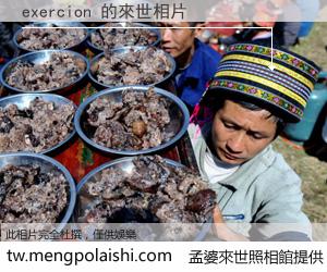 exercion 來世的未來相片