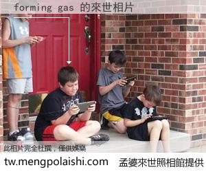 forming gas 來世的未來相片