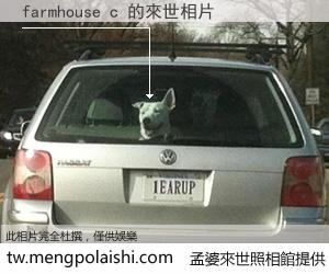 farmhouse c 來世的未來相片