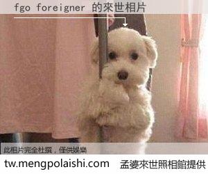 fgo foreigner 來世的未來相片