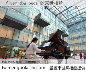 fivem dog peds 來世的未來相片