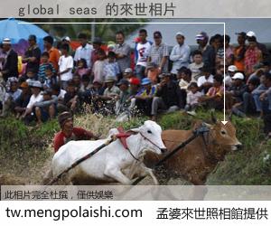 global seas 來世的未來相片
