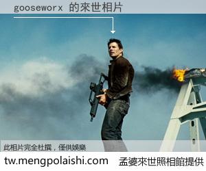 gooseworx 來世的未來相片