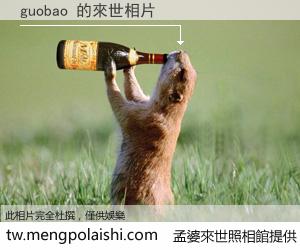 guobao 來世的未來相片