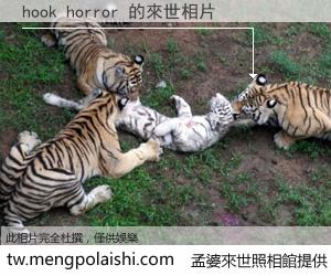 hook horror 來世的未來相片