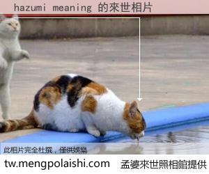 hazumi meaning 來世的未來相片
