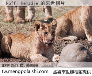 koffi hemadje 來世的未來相片