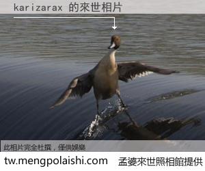 karizarax 來世的未來相片