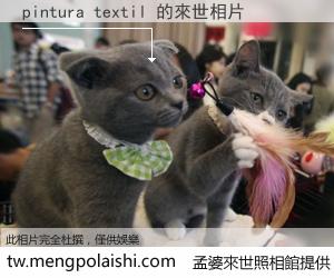 pintura textil 來世的未來相片