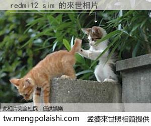 redmi12 sim 來世的未來相片