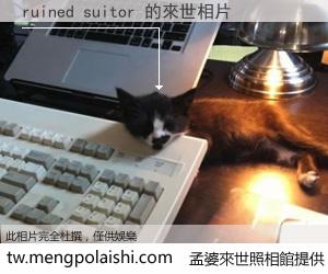 ruined suitor 來世的未來相片