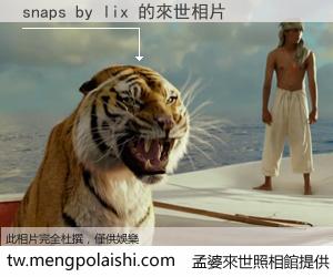 snaps by lix 來世的未來相片