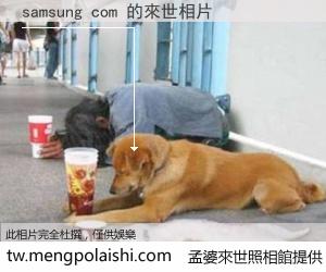 samsung com 來世的未來相片