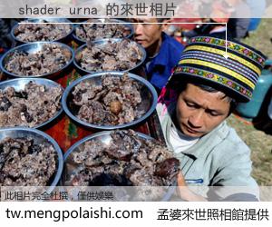 shader urna 來世的未來相片