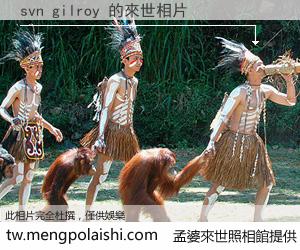 svn gilroy 來世的未來相片