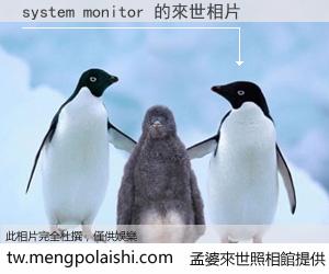 system monitor 來世的未來相片