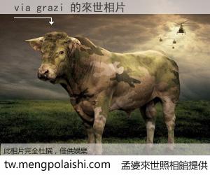 via grazi 來世的未來相片