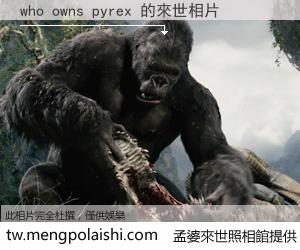 who owns pyrex 來世的未來相片