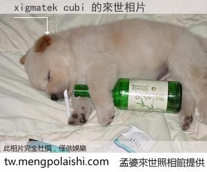 xigmatek cubi 來世的未來相片