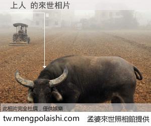 上人 來世的未來相片