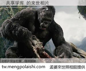 共享学库 來世的未來相片