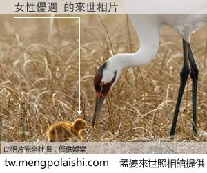 女性優遇 來世的未來相片