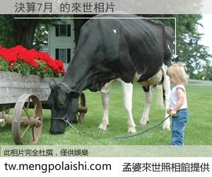 決算7月 來世的未來相片
