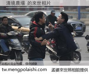 清境農場 來世的未來相片