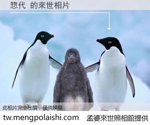 惣代 來世的未來相片